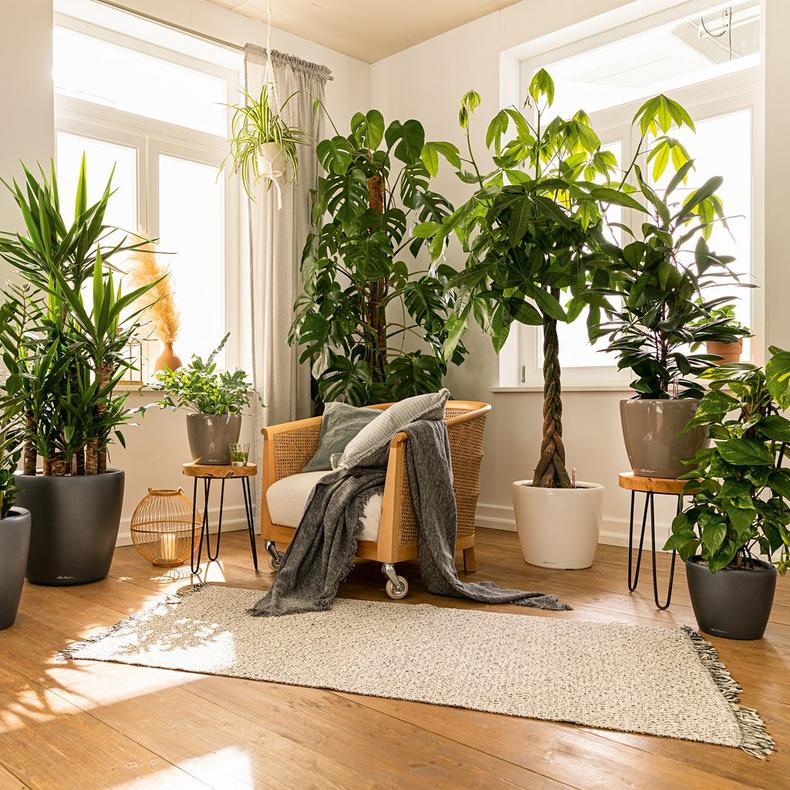 le_classico-ls_product_addi_01